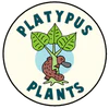 Hedging Plants